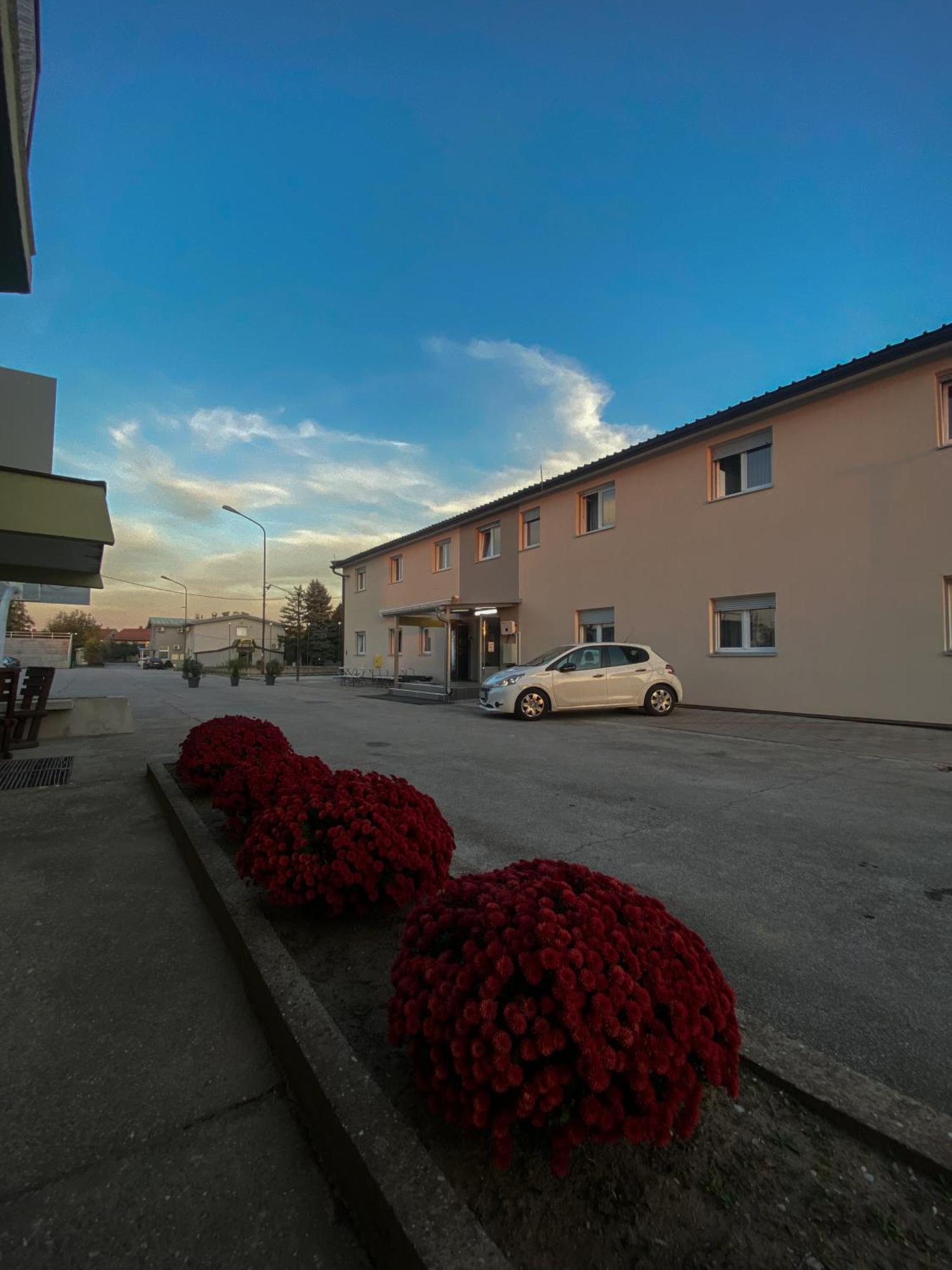Vila Safir โลซนิตซา ภายนอก รูปภาพ